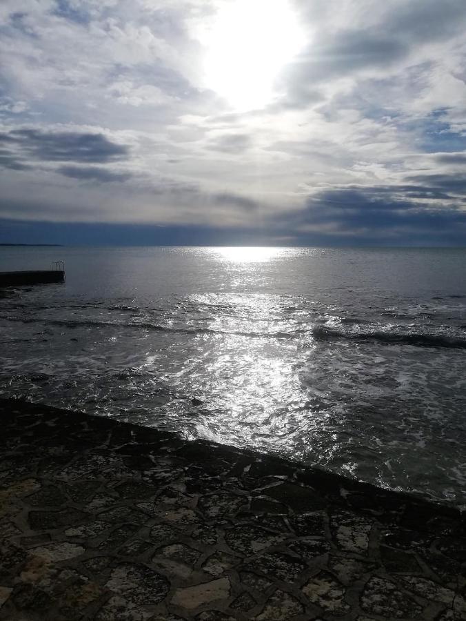 Jana Apartmán Novigrad Istria